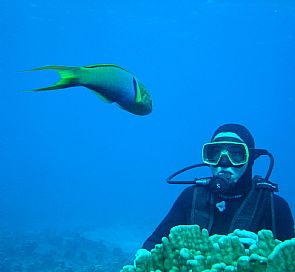 Scuba Diving on Easter Island