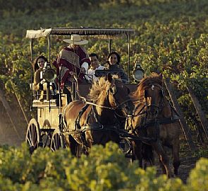 Viu Manent Winery