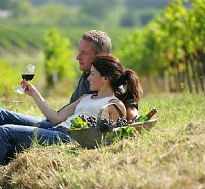 MontGras winery