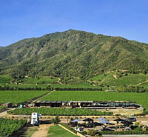 Montes Winery