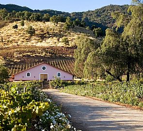 Tour por las viñas Caven y Estampa con almuerzo en Hacienda Histórica Marchigüe