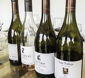 Tour por Viña Las Niñas