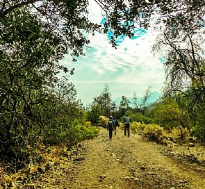 Trekking al cerro Alto del Naranjo