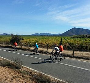 Bicicletas y Vinos
