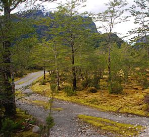 Lo mejor de la Carretera Austral Norte
