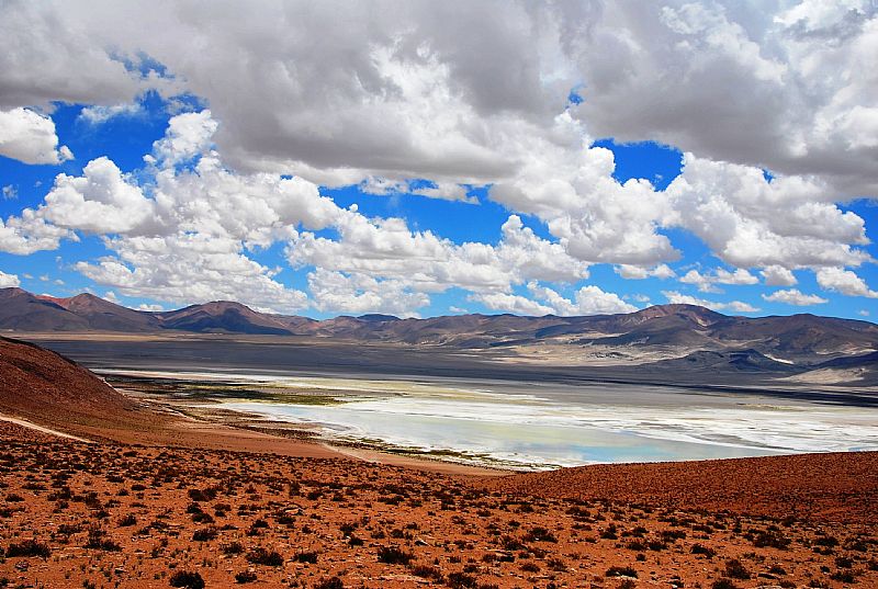 Atacama Tours –Full Day Salar de Huasco desde Iquique