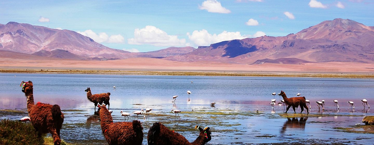 Tours and Travel San Pedro de Atacama in 5 days