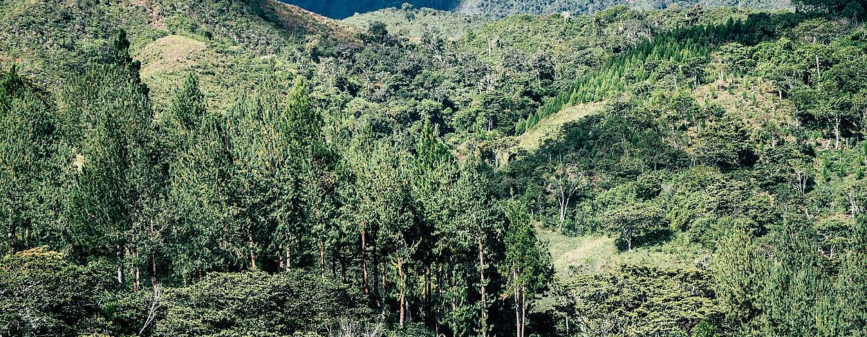 Valle de Oxapampa