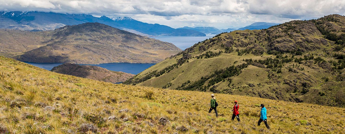 onsdag Sprængstoffer det kan Patagonia National Park: the best destination to visit in Chile 2019  according to Lonely Planet