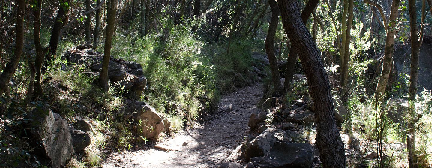 La Campana National Park Hotels La Campana National Park Hotels