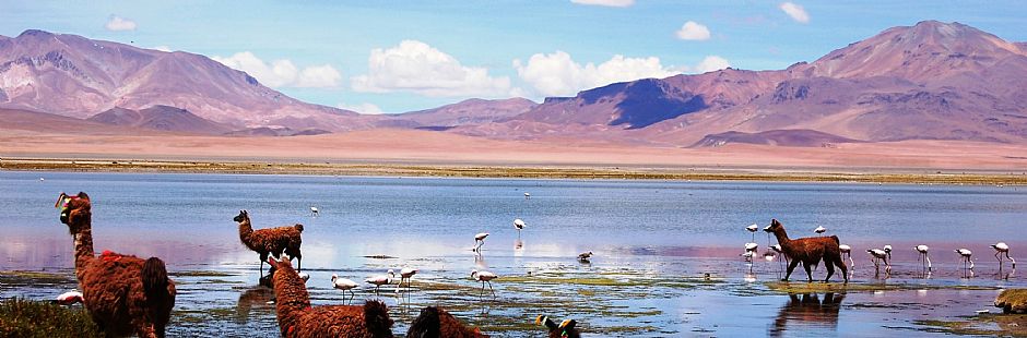 O melhor de San Pedro de Atacama - Perfeito - 5 dias / 4 noites