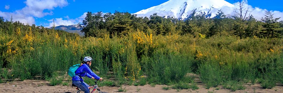 Cycling trip on the Llanquihue lake