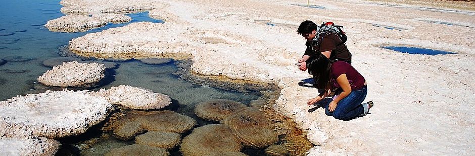 Tour a la ex salitrera Victoria, el salar de Llamara y los petroglifos de Tamentica