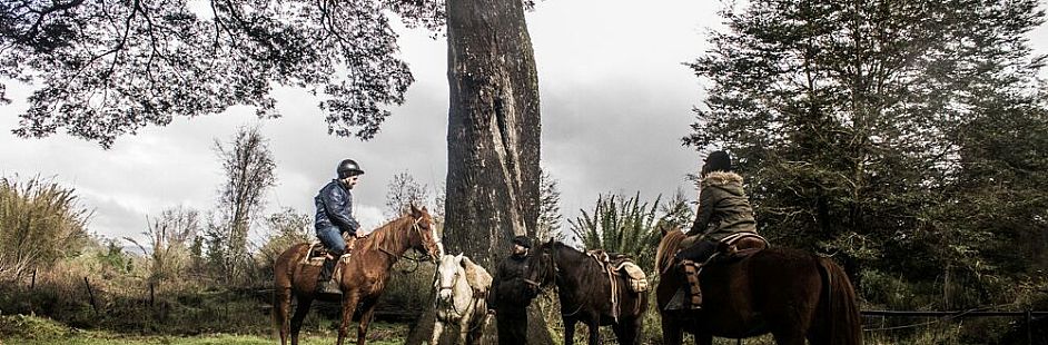 Horse ride through the Piuchén mountain range