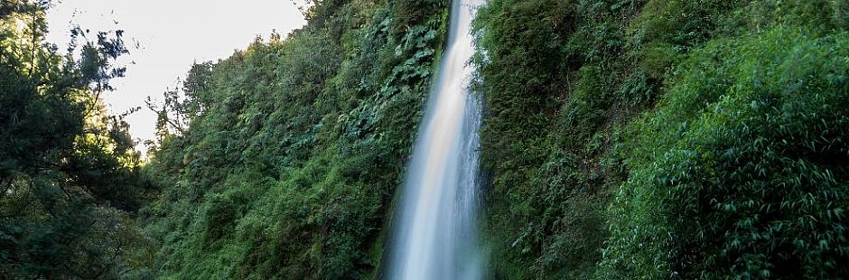 Tour of the coastal nature of Chiloé