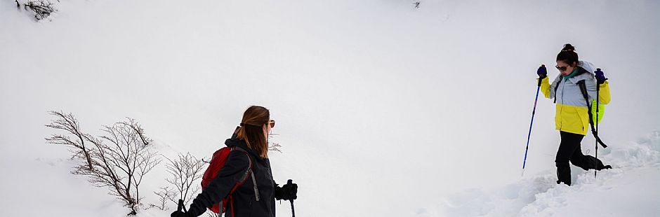 Torres del Paine Winter Circuit