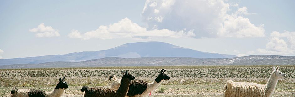 The best of San Pedro de Atacama - Full with Kimal hotel