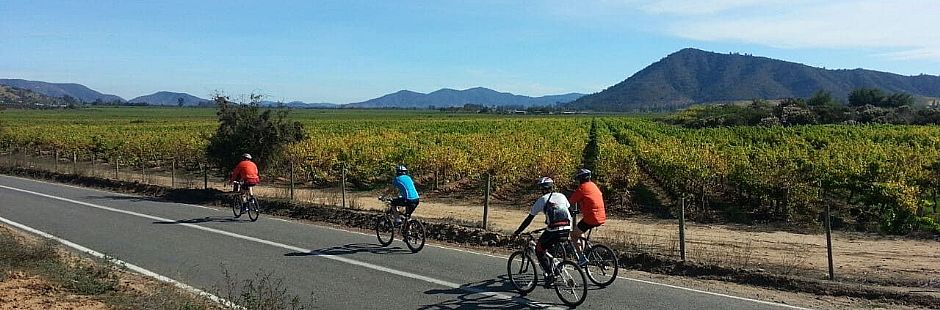 Bicicletas y Vinos