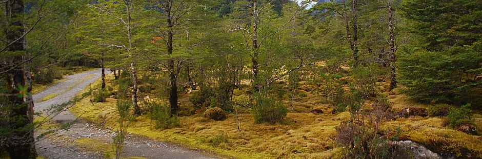 The Best of the Northrn Carretera Austral