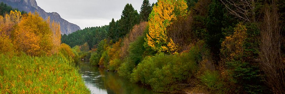 Kayak por la Reserva Nacional Río Simpson