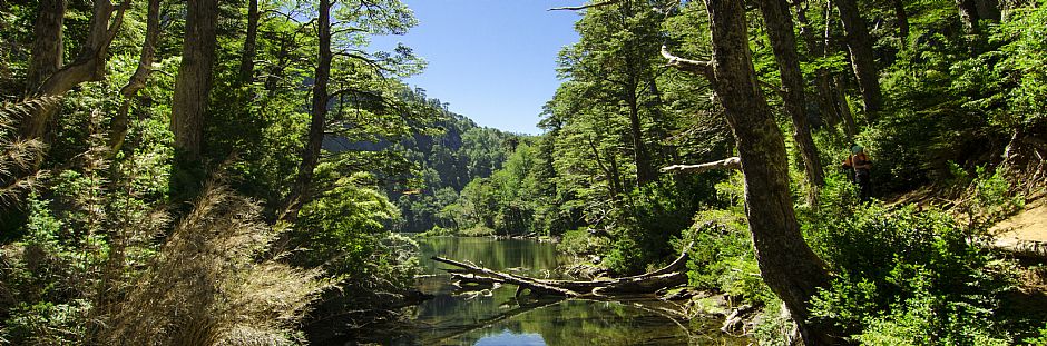 Hiking through the Huerquehue National Park