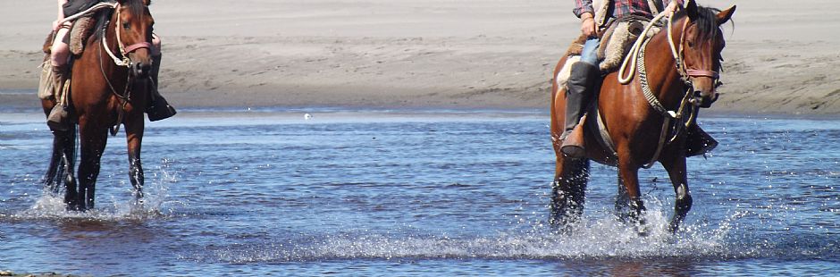 Horseback Riding Chiloé National Park