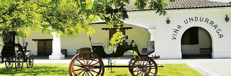 Undurraga Winery Tour