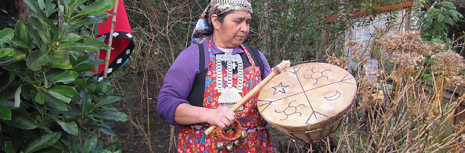 Visit to the Mapuche community in Pucón