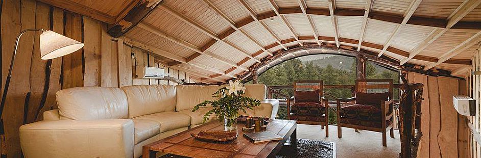 Nothofagus Hotel & Spa - Huilo Huilo