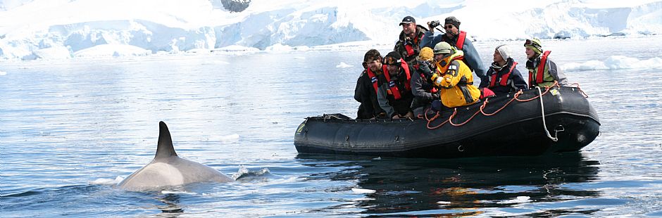 Programa para visitar La Antártica