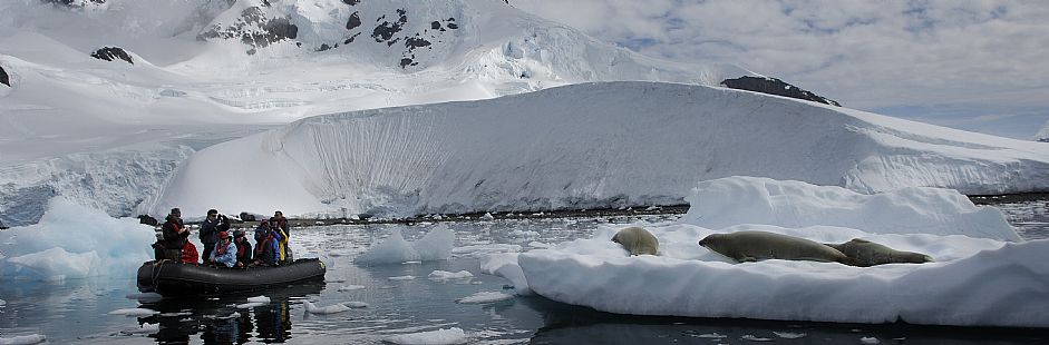 Programa Express para visitar la Antártica